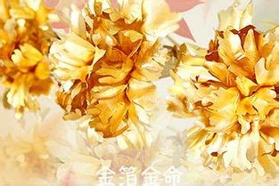 金箔金命什么意思|金命解析，金箔金命是什么意思？